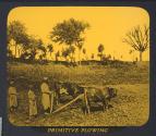 Primitive Plowing