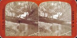 [Wooded landscape]