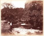On the Fisk, Dalhousie
