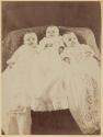 [Three babies]