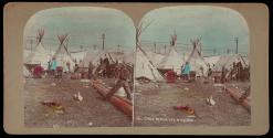 [Chief Black Fox and woman]