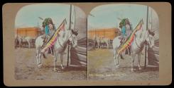Chief Joseph Black Fox