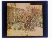 Garden Eastman