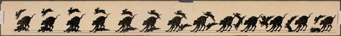 [Two rabbits jumping over a dog]