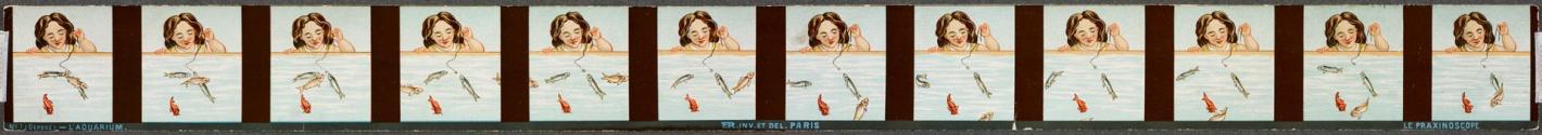 L'aquarium
