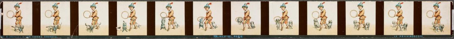 Les chiens savants