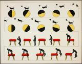 [Cat leaping off yellow and black ball after bird; man jumping on and off pommel horse]
