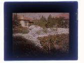 [View of house and garden]