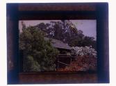 [House and garden]