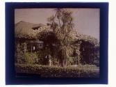 [House and garden]