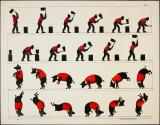 [Man using unidentified piece of equipment; pig in red jacket doing somersaults]