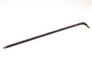 Monopod walking stick