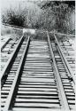 Amputated Railway Line