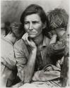 Mother of Seven