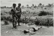 Enemy Casualty