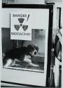 Dog on Dangerous Duty