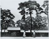 Fragile Beauty of Old Japan