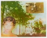 Young B in the Pines
