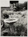 Birdbath