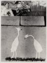 Cranes