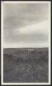 Small doe and stag taken by George Eastman, Newfoundland Trip