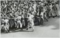 Enraged Population
