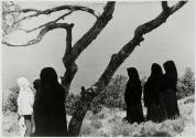 Veiled Mourning