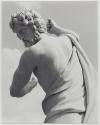 Statue Series