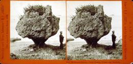 Marianen-Inseln.  Insel Guam. Felsen am Strand.