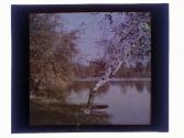 Seneca Park Rochester