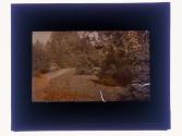 [Seneca Park View]
