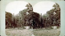 Gas Well, Butler Co., Pa.