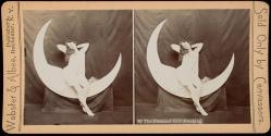 The Crescent Girl Awaking