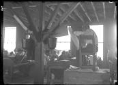 A Reader...He Reads Books and Newspapers At Top Of His Voice... Tampa Florida-1909 Cigar Factory