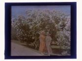 [Two women in front of lilacs]