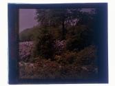 [Highland Park (?) view]