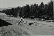 Actor Glenn Turman at His Horse Ranch, Los Angeles, California