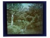 1931 Ellison Park