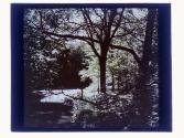 [Landscape]