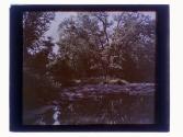 Honeoye Creek