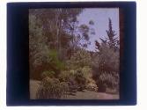 Highland Park Study in Greens