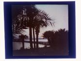 [Florida landscape with water]