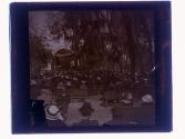 [Park band concert, St. Petersburg, Florida]