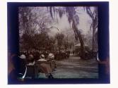 Band Concert Park St Pete 20000 there & more