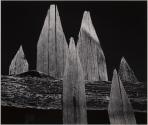 Detail, Picket Fence by Meadow, Yosemite National Park
