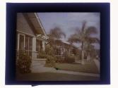 [View of house and palm trees]