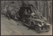 George Eastman and companions riding through Wawona Tree in Yosemite National Park, Pacific Coast Trip