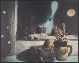 Snowy Night
