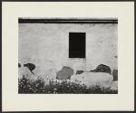 Ten Photographs