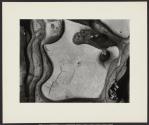 Ten Photographs